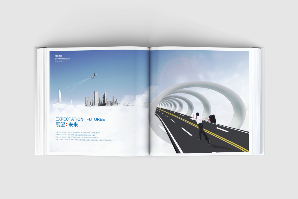 镇海区画册设计